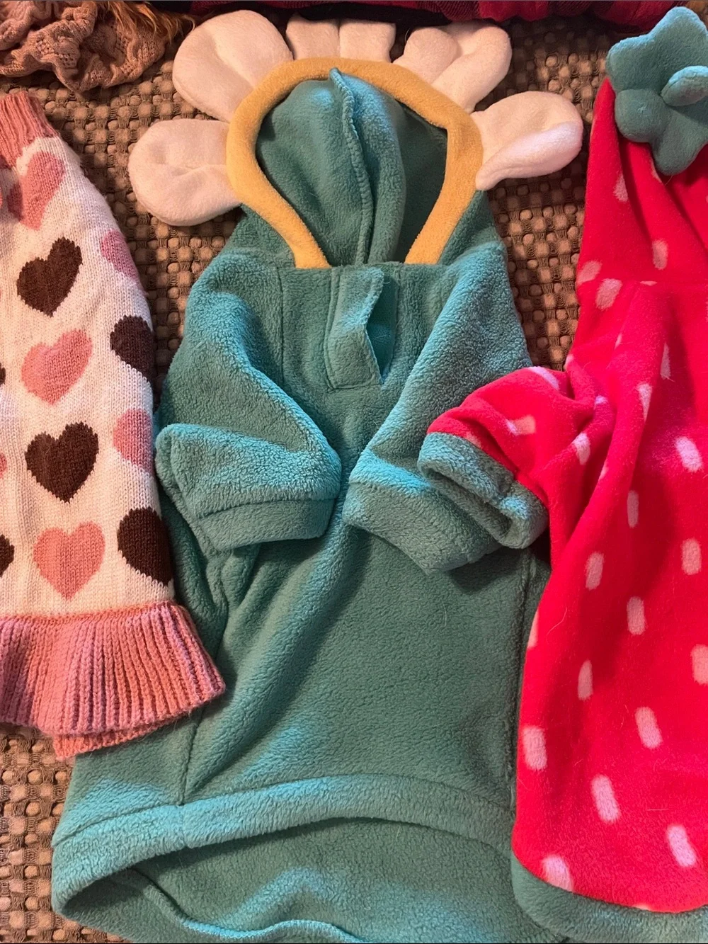 Dog sweaters (size small) Entire lot of 6